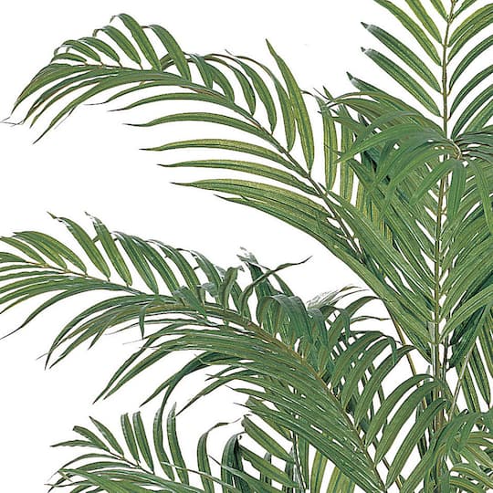 4ft. Potted Areca Silk Palm Tree